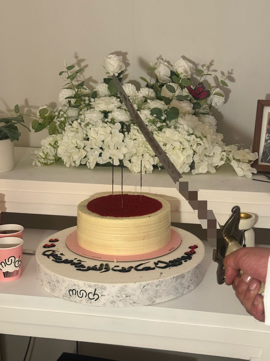 catreo🐈‍⬛ tweet media