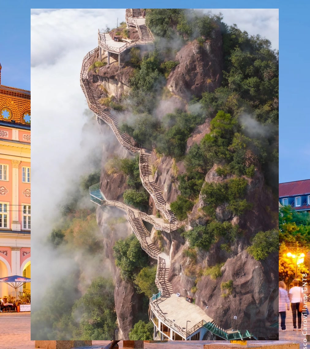 Steve Davis tweet media