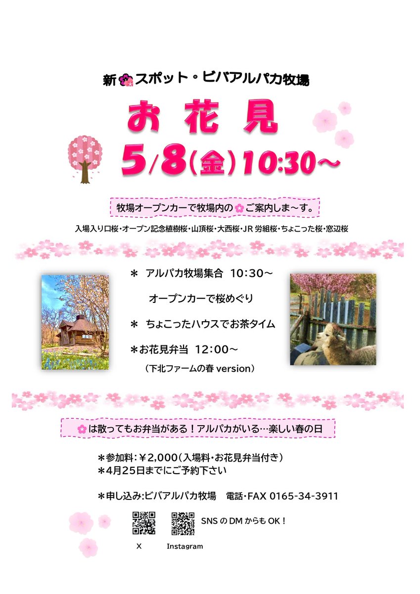 【お花見🌸のおしらせ】
剣淵の桜は例年GW明けに満開に。牧場には案外あちこちに桜の木があるんです！爽やかな春風と桜、そして美味しいお弁当🤤
お花見🌸楽しみましょう！
4/25までにご予約ください。DMでも承ります
#ビバアルパカ牧場 #アルパカ #剣淵町 #お花見