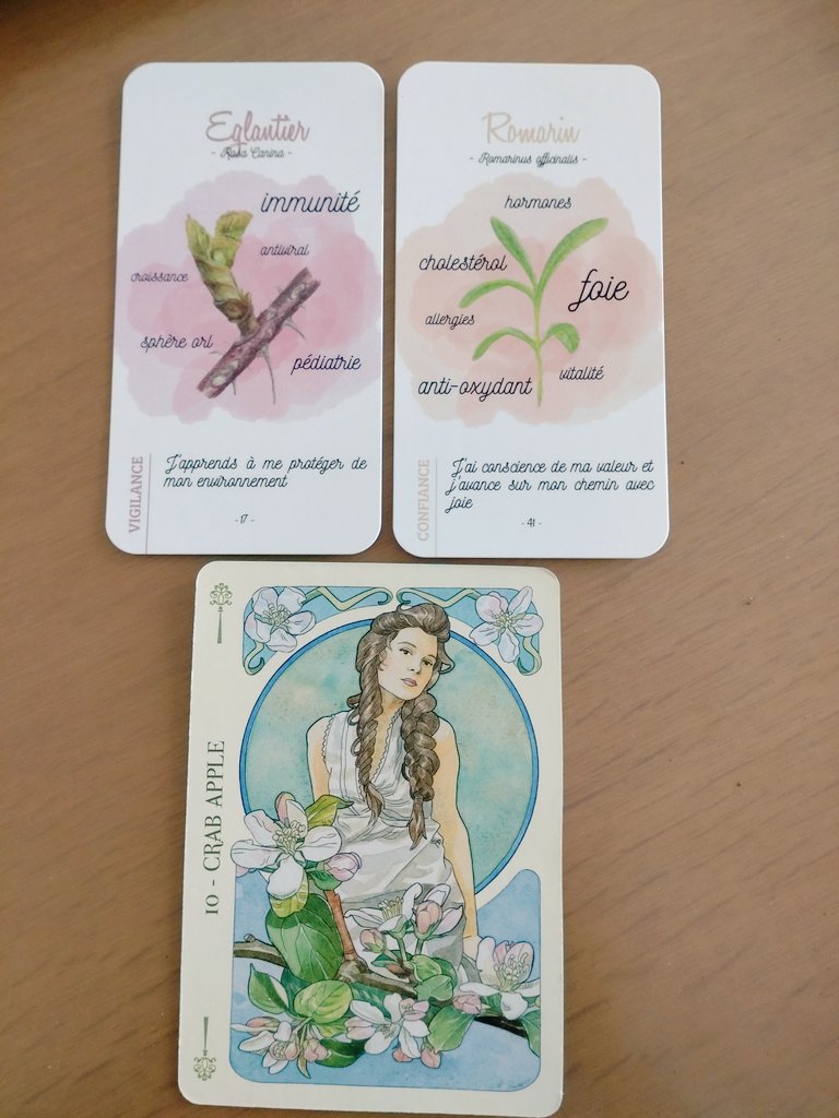 NAMI🌿植物で癒しを届ける🌱 tweet media