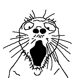 "DO NOT EAT CEMENT. IT IS NOT EDIBLE AND CAUSES INTERNAL CAUSTIC BURNS"