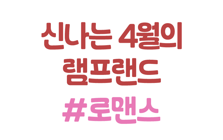 비스킷미디어 tweet media