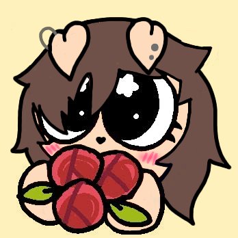 Alexa the dog🐶🐾 tweet media