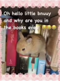 jordan | currently: 🩺 tweet media