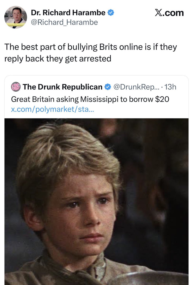 Marina Medvin 🇺🇸 tweet media