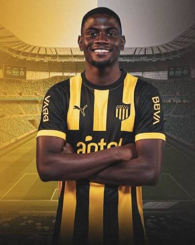 Darío Alberti tweet media