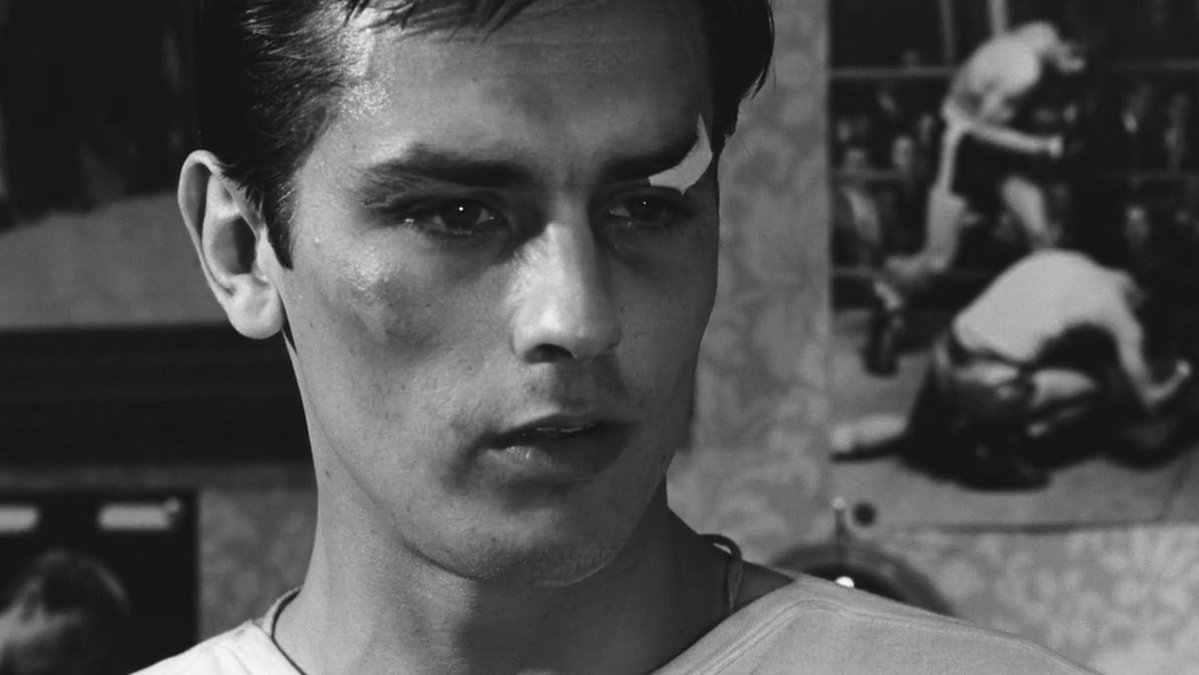 CINEMA 505 tweet media