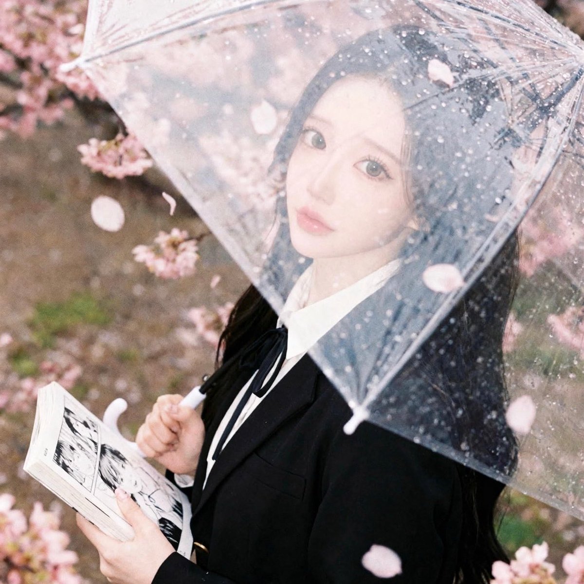 マンチカン tweet media