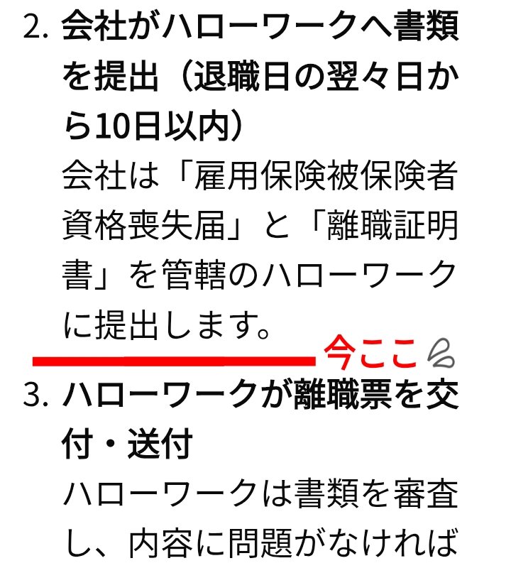 のびで 【Nobide】 tweet media