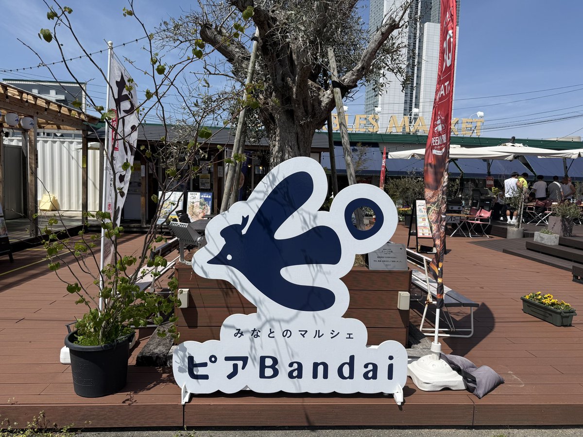 ふみのりちゃん tweet media