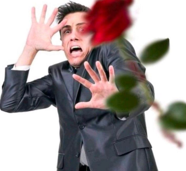 🌛Night Ghost🌜 tweet media