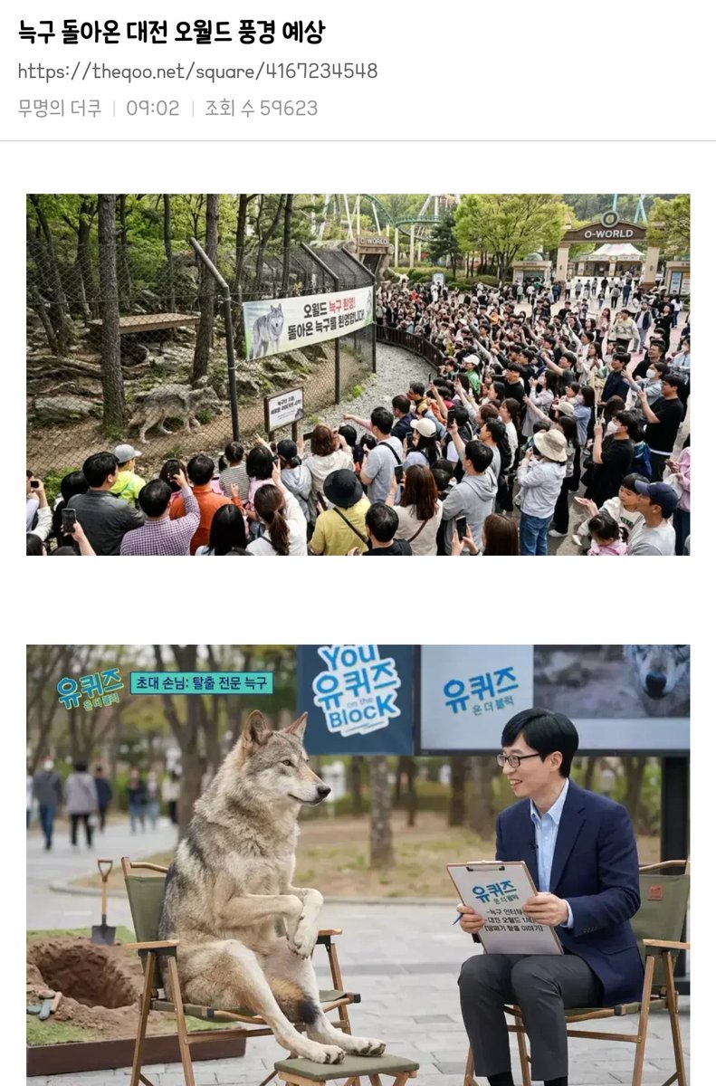 ricegangjjeong's tweet photo. 아 유퀴즈에 늑구 뭐임ㅋㅋㅋㅋㅋㅋㅋㅋㅋㅋ ㅋㅋㅋㅋㅋㅋㅋㅋㅋㅋㅋㅋㅋ https://t.co/Ch5s9Qz0Be
