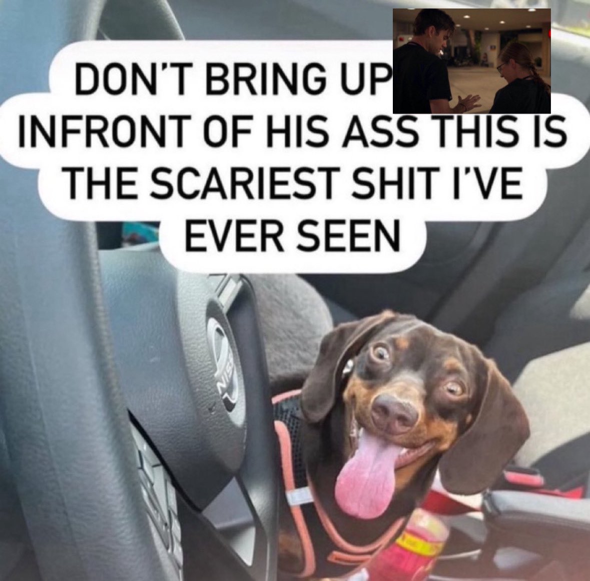 ale ☘︎ tweet media