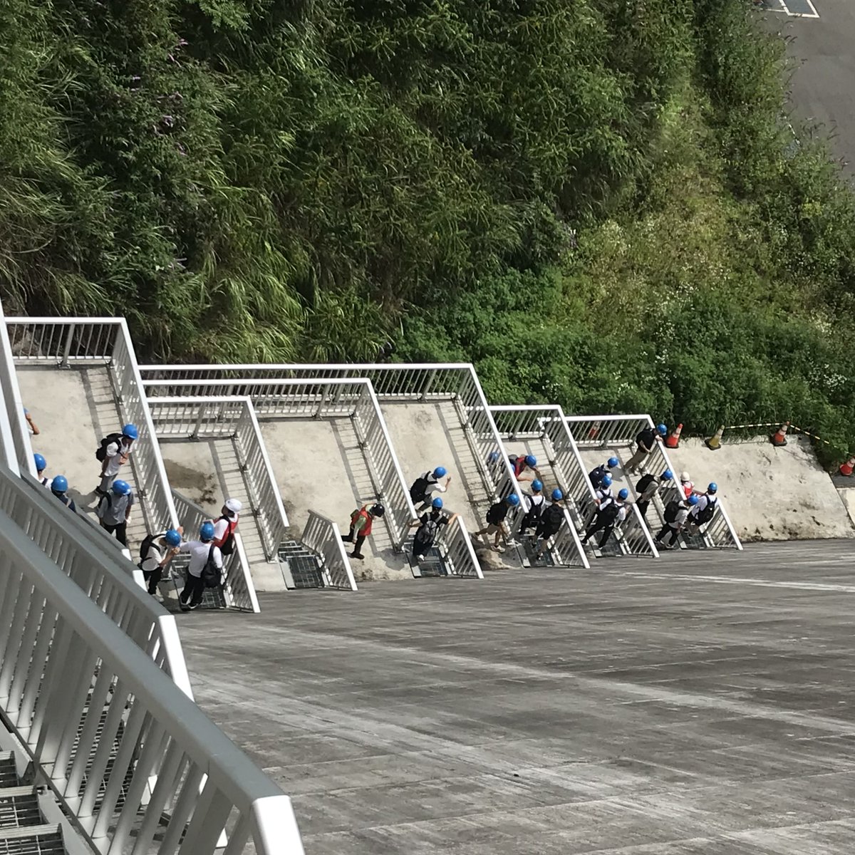 tiny tiny (FM GUNMA) tweet media