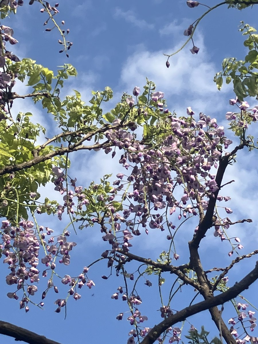 新川貴詩 tweet media