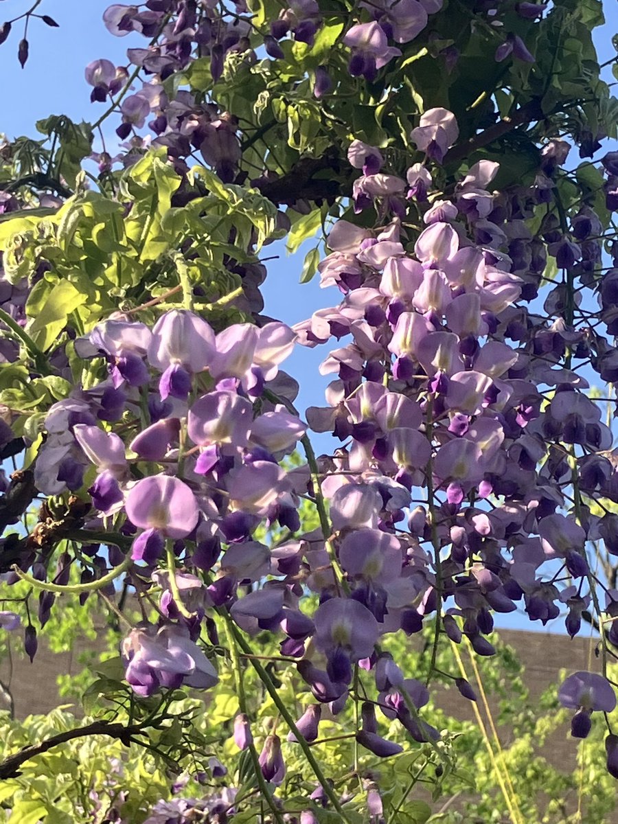 新川貴詩 tweet media