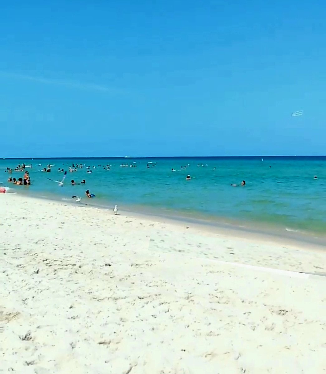 AventuraHampton's tweet image. Located in the heart of Hallandale Beach, our hotel offers easy access to some of the best shopping, dining, and beach experiences in the area.

#vacation #hotel #getaway #florida #southflorida #hamptoninn #hilton #travel #vacationgetaway #hiltonforthestay #vacationtime