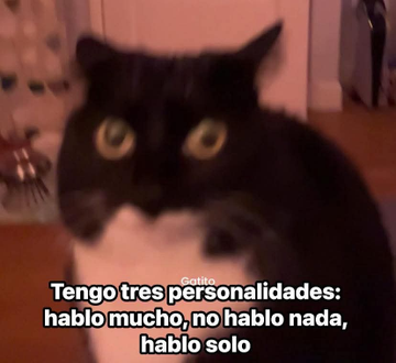 Pensamientos tweet media