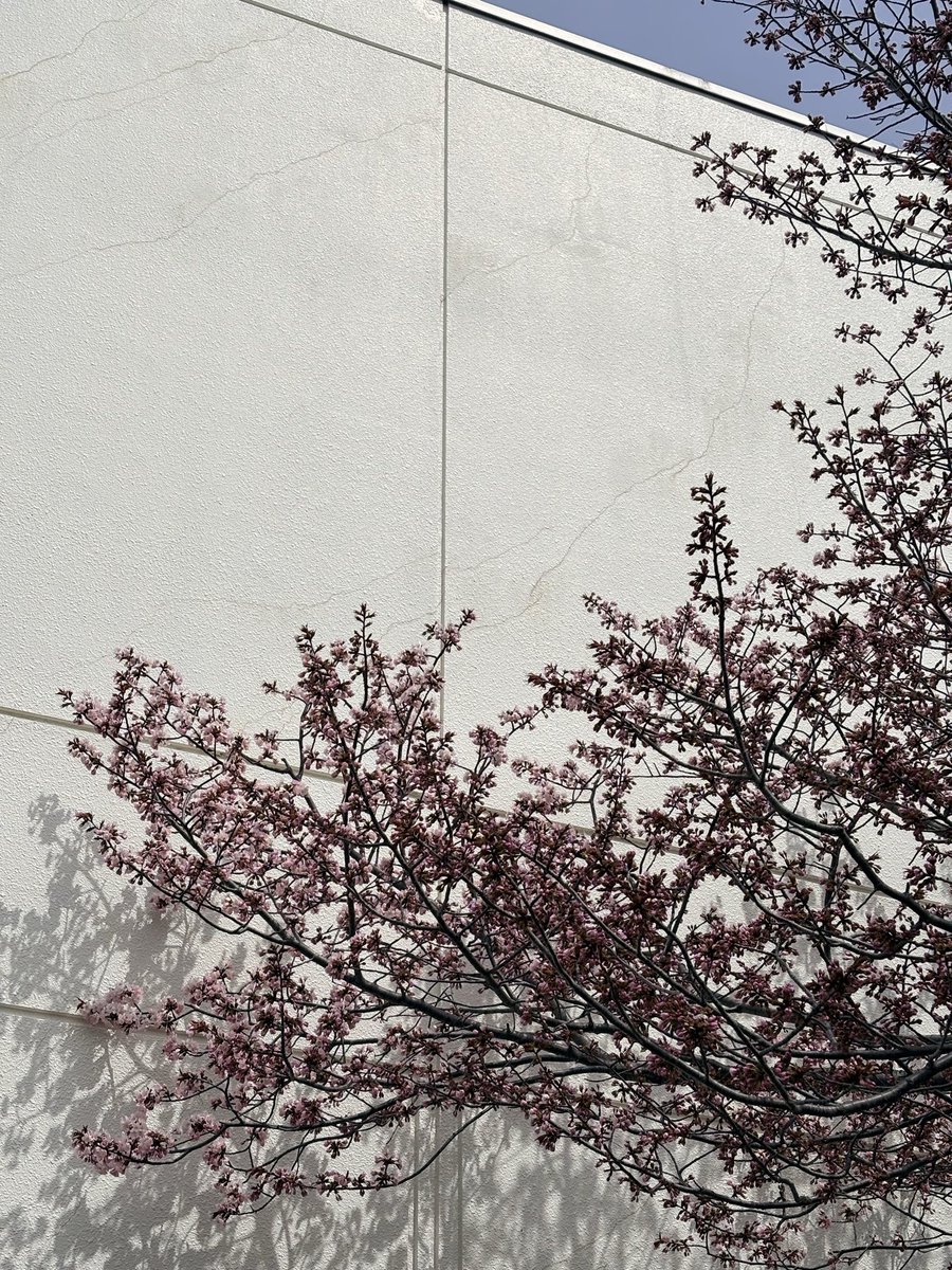 i.yasuko tweet media