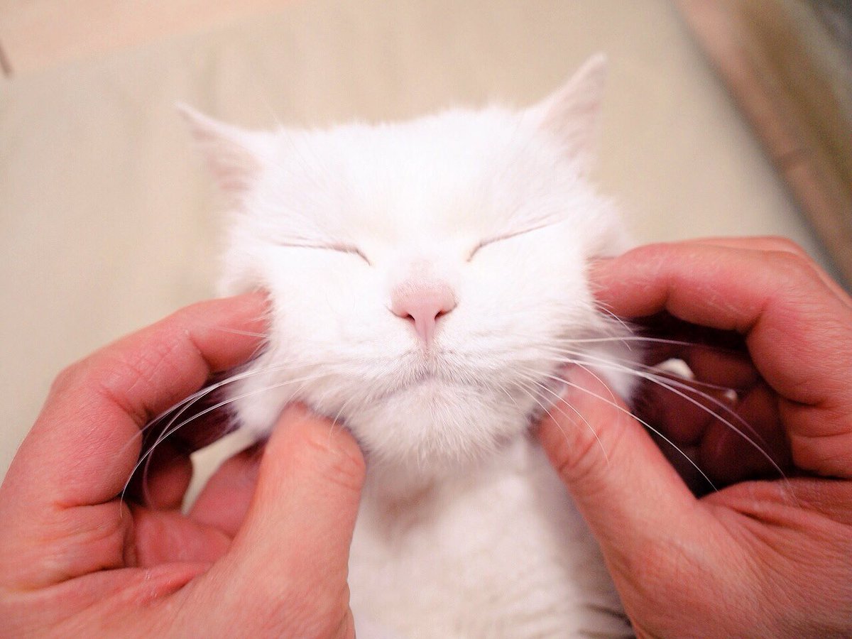 こころのたからもの