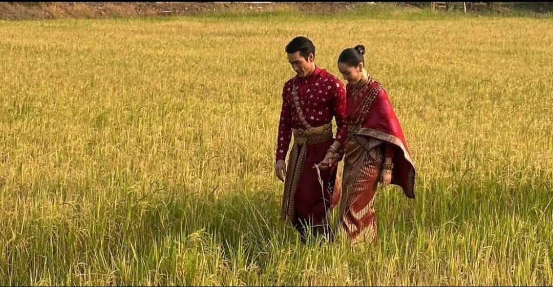 Tarot to youuuu tweet media