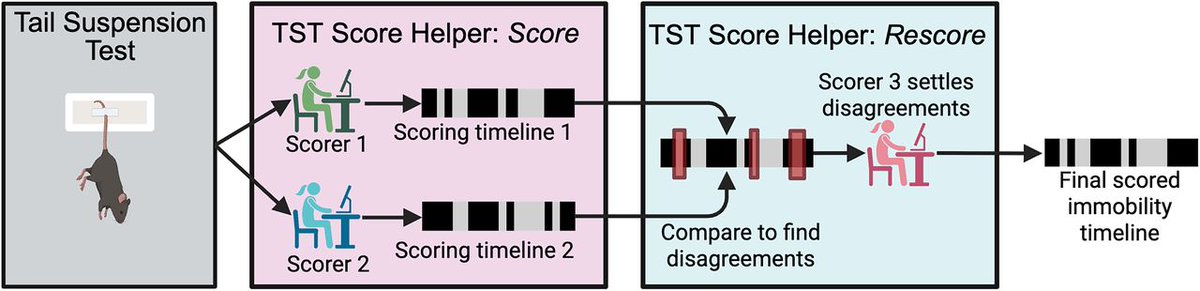 SfN Journals tweet media