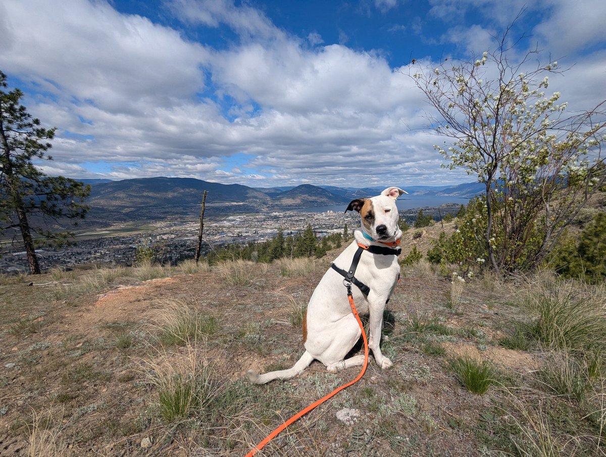 Eriko Sakaki tweet media