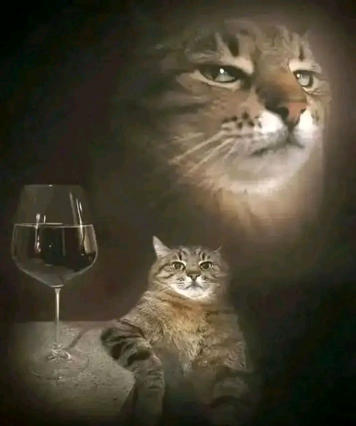 OBLINEJOY *en HIATUS sobre pensativo* tweet media