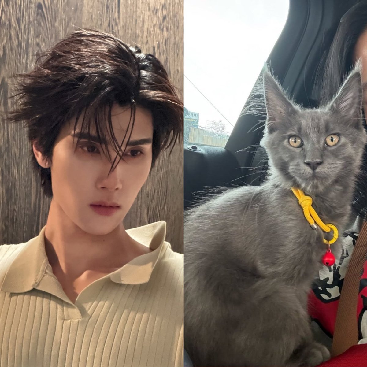 🐻‍❄️🖤 🌻{ มัมหมีน้องดัง } ☀️ “ ⊹♡ DUNK ” 😺 tweet media