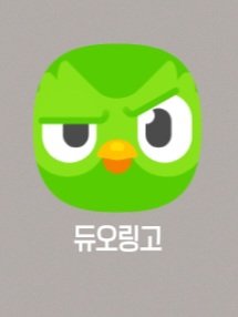 ㅁㅅㅊㅅ tweet media