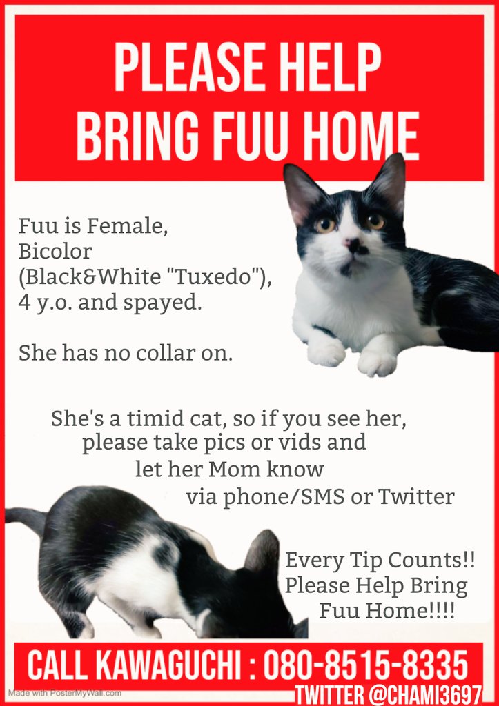 🐱🐊💐うずかわ藍苑(あいおん) #TheAlphabetGang🏳️‍⚧️🏳️‍🌈 tweet media