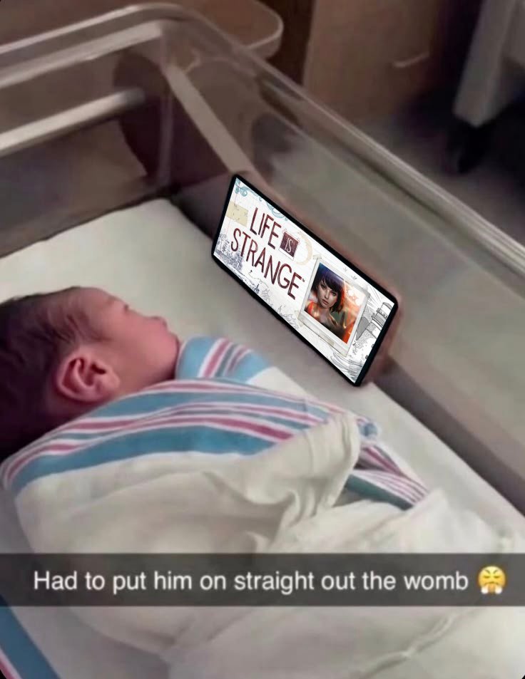 ⋆˚꩜｡ tweet media