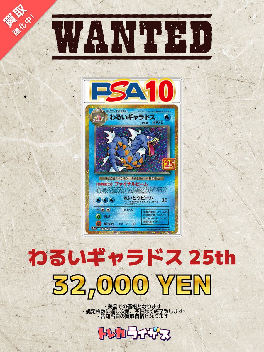 わるいギャラドス 25th psa10 ポケモンカードゲーム PSA10鑑定済〕わるいギャラドス(25th)【P】{005/025}