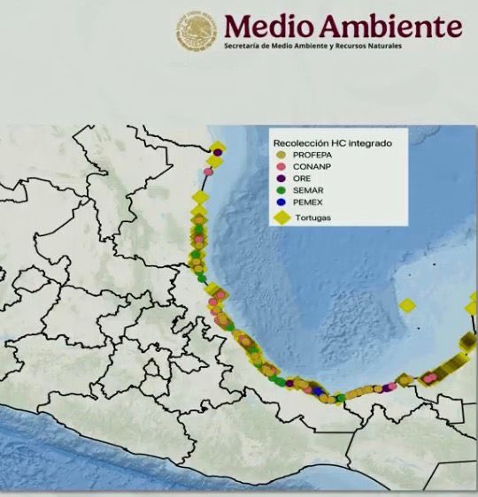 🚨 Gobierno admite que el derrame de hidrocarburo en el Golfo de #México ...
