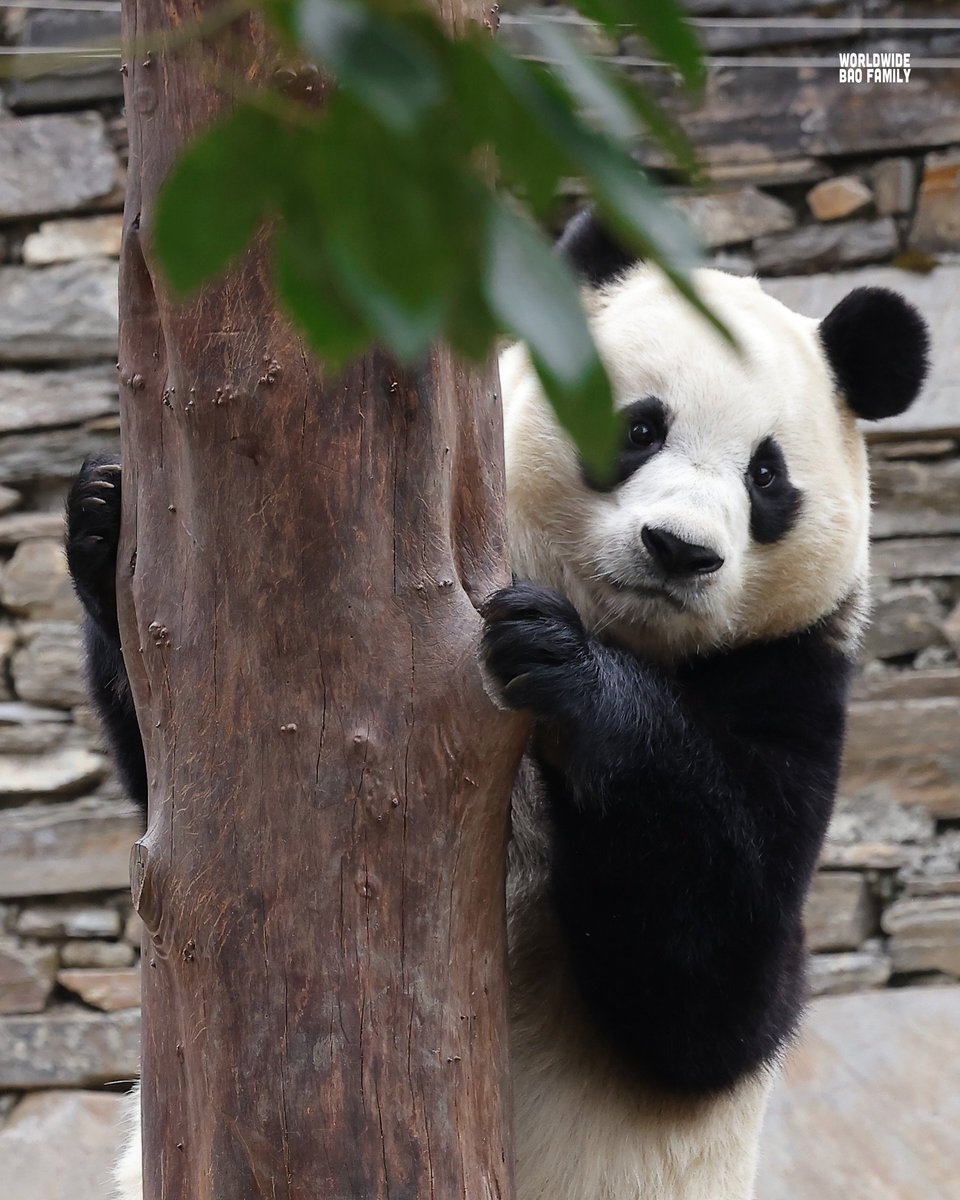 뀽바오🥕 tweet media