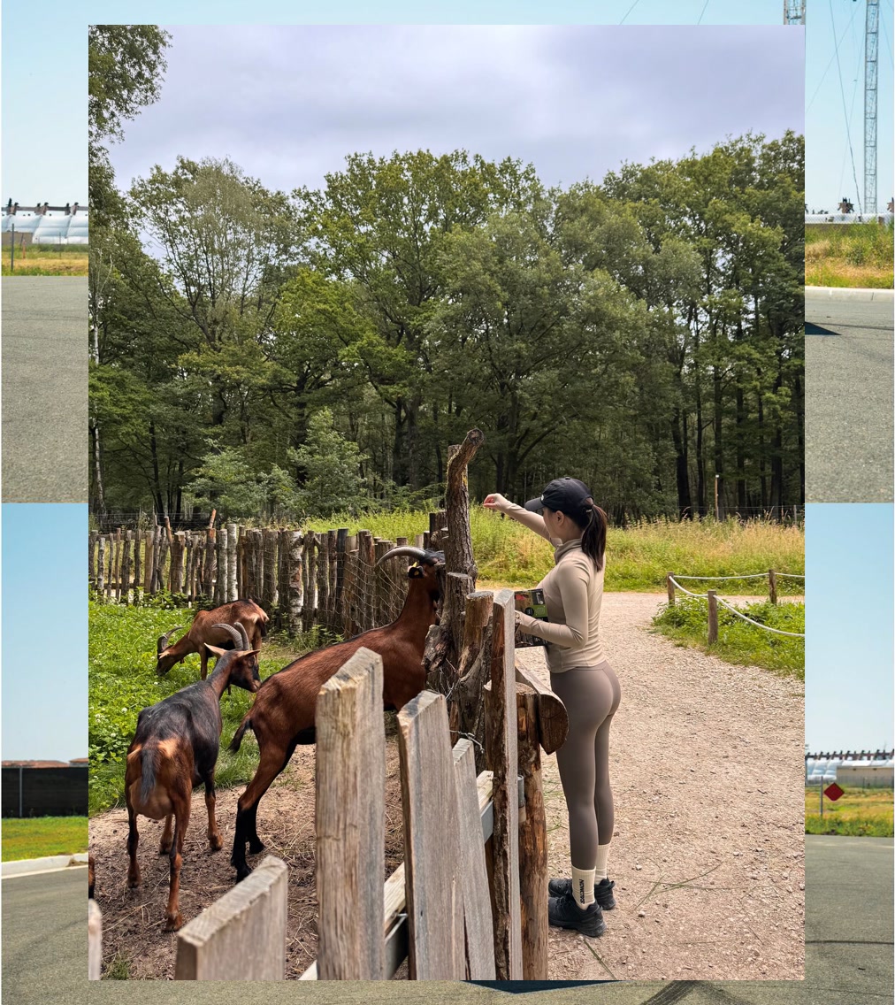 Austin Sharp tweet media