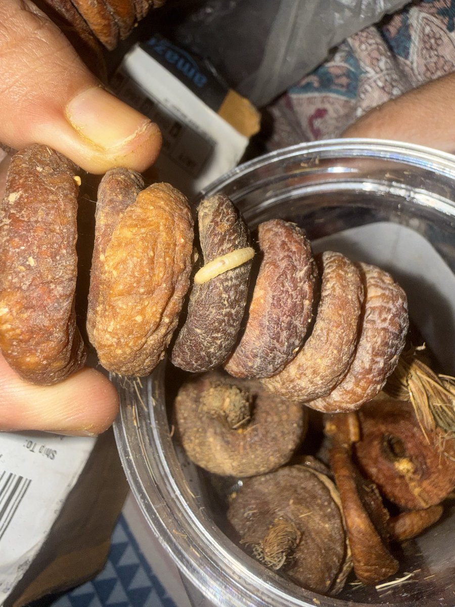 AdvocateJRJ's tweet photo. Bought “Anjeer Zaika” (500g) from Amazon India and found worms inside the figs 😡 This is a serious hygiene and food safety issue. Completely unacceptable quality control. Requesting immediate refund and strict action. @AmazonHelp @FSSAI_India please look into this urgently. https://t.co/UyN3xggV0p