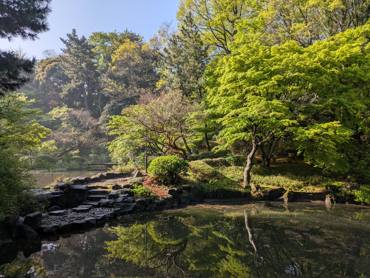 酒井啓亘（Hironobu Sakai） (@UtBeneVivas) / Posts / X