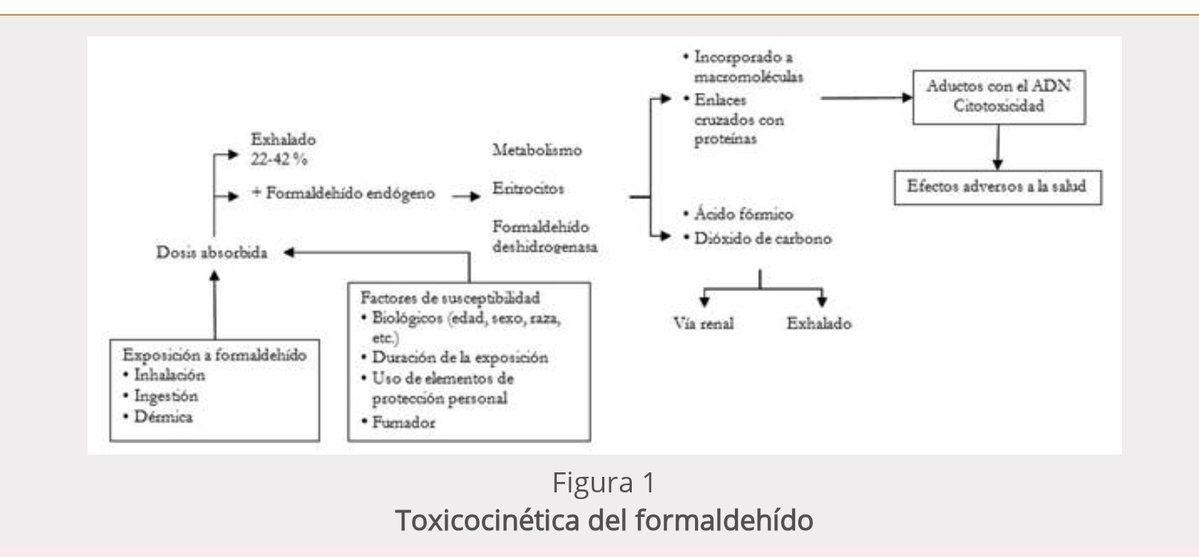 India Garcin tweet media