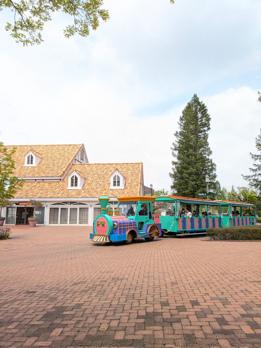 3億光年ぶりのデンパーク！！
懐かしすぎて泣きそう😭