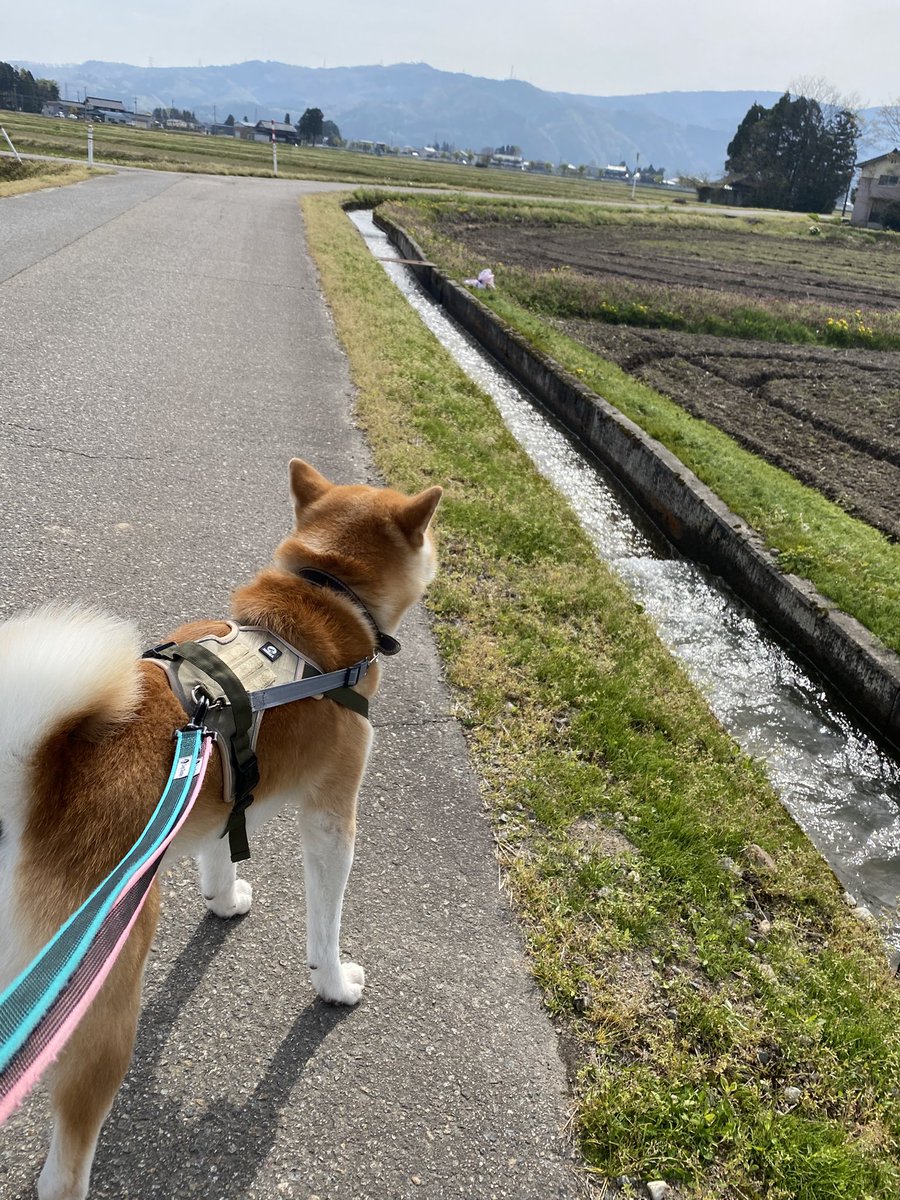 七宝🌿🕊🐇 tweet media