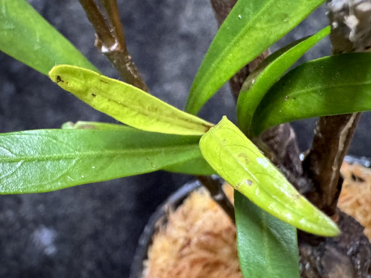 モレ吾郎@M.R.G.R since2020 tweet media