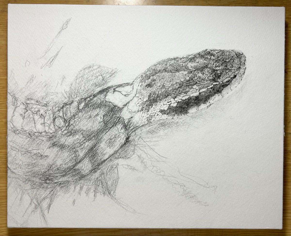 夕月 (@uzuki1115) on Twitter photo 