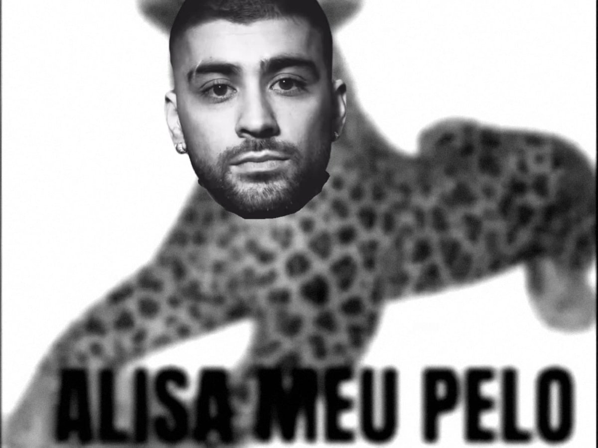 Zayn News Brasil 🐆 tweet media