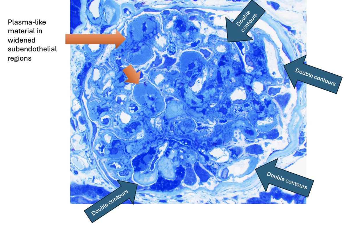 Grace Choung, MD 박영이 tweet media