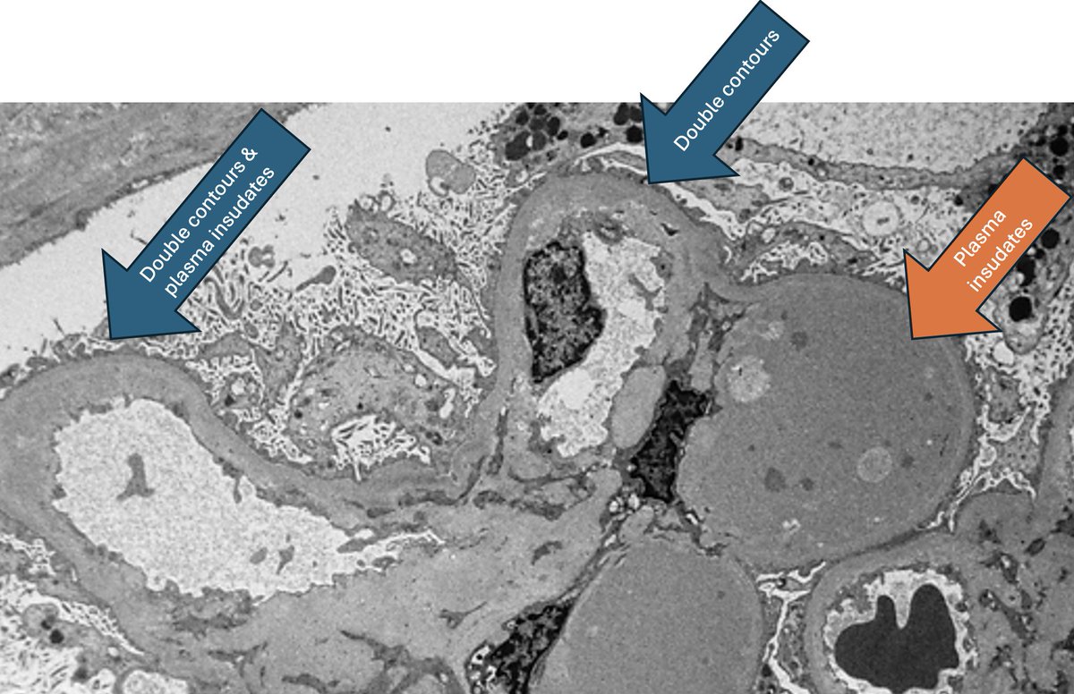 Grace Choung, MD 박영이 tweet media