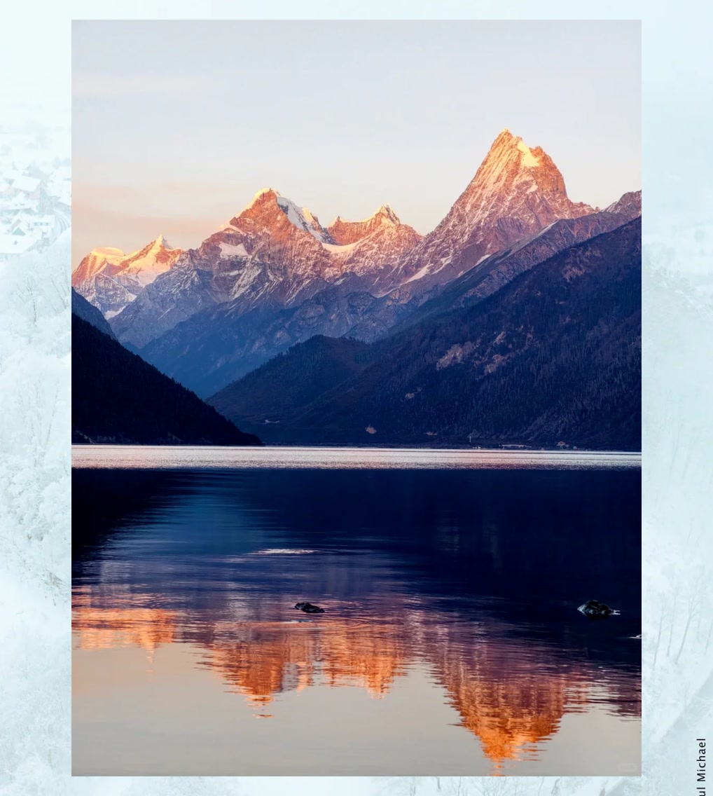 Anna Donelson tweet media