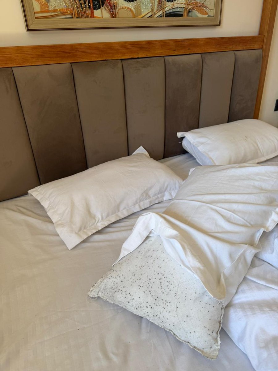 sachin2311's tweet photo. @SaffronStays Horrible hygiene issues, blatant disregard of hospitality rulee. And charging exorbitant for such pathetic services . No kitchen, Molds in bedsheet and pillows, water food being served in absolutely filthy utensils https://t.co/wDVR6XFRFI