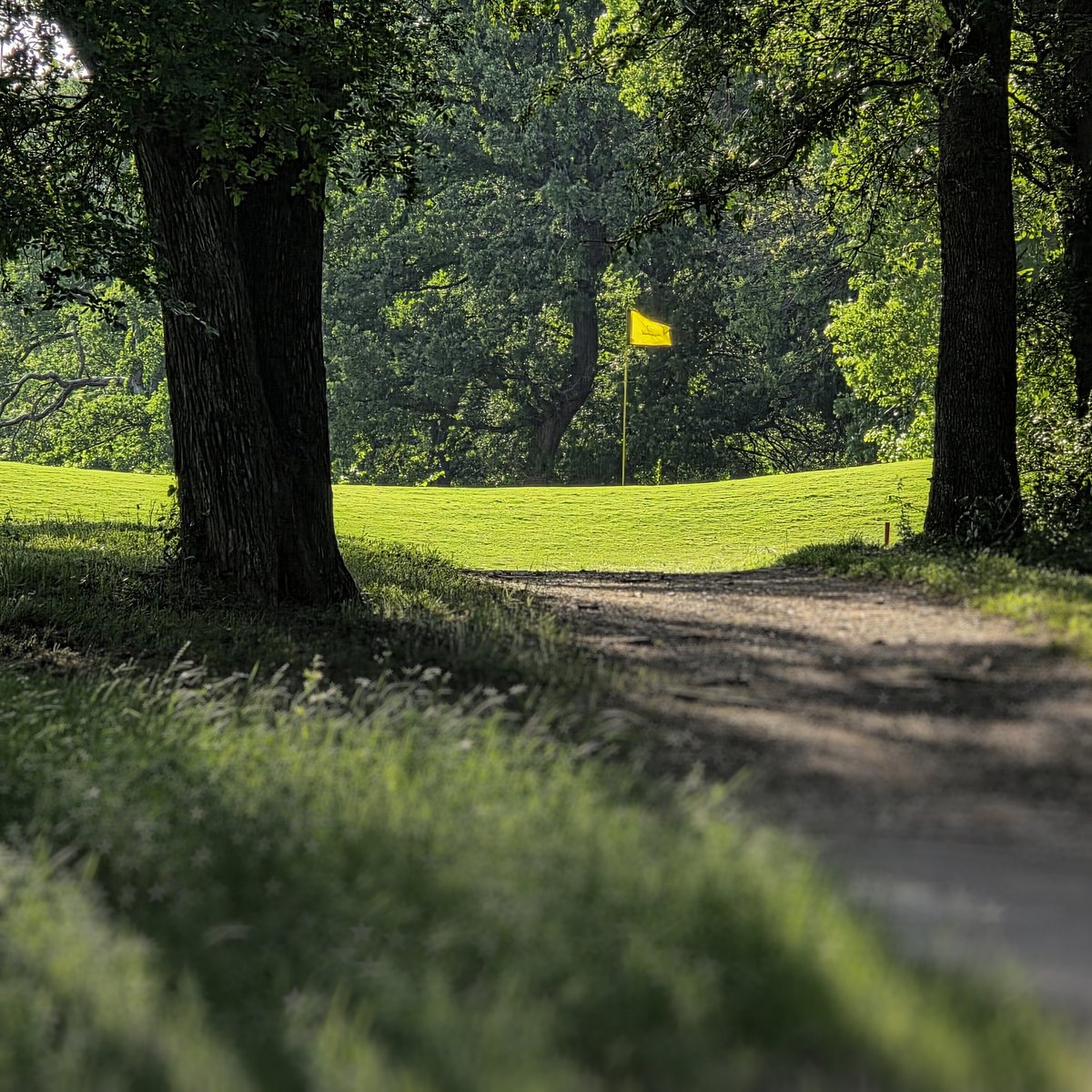 CBarnumphoto's tweet photo. #texas #golf https://t.co/HB5DXk3nuk