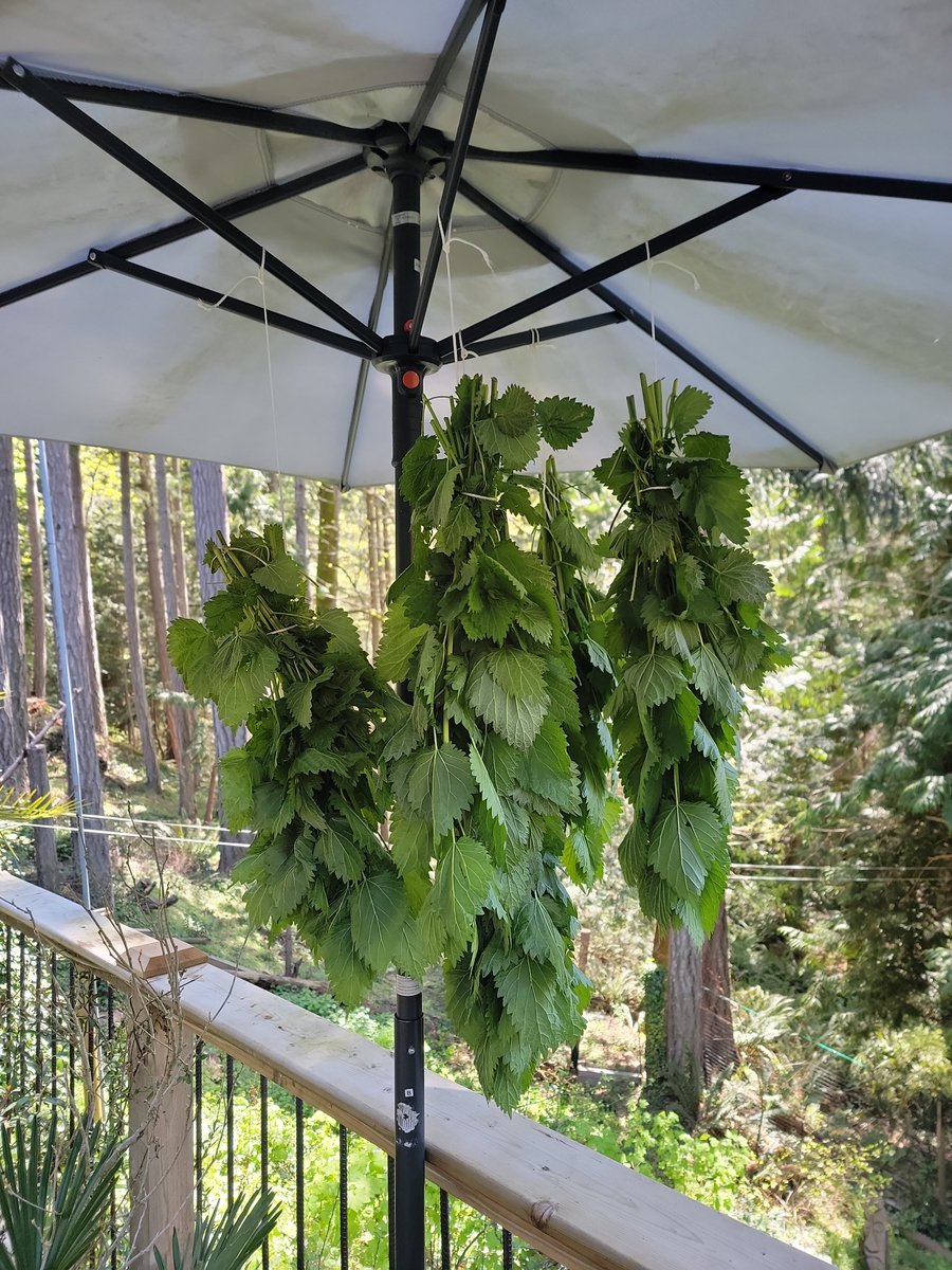 Banana Joe Freedom Fighter tweet media